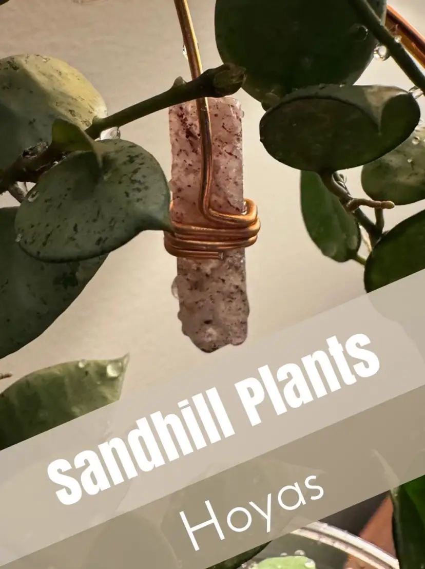 Livestream thumbnail