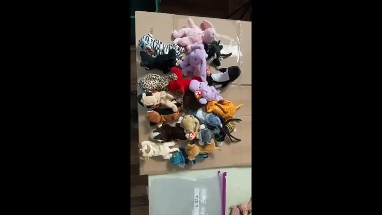 21 Beanie Babies Collectible Lot - #7019