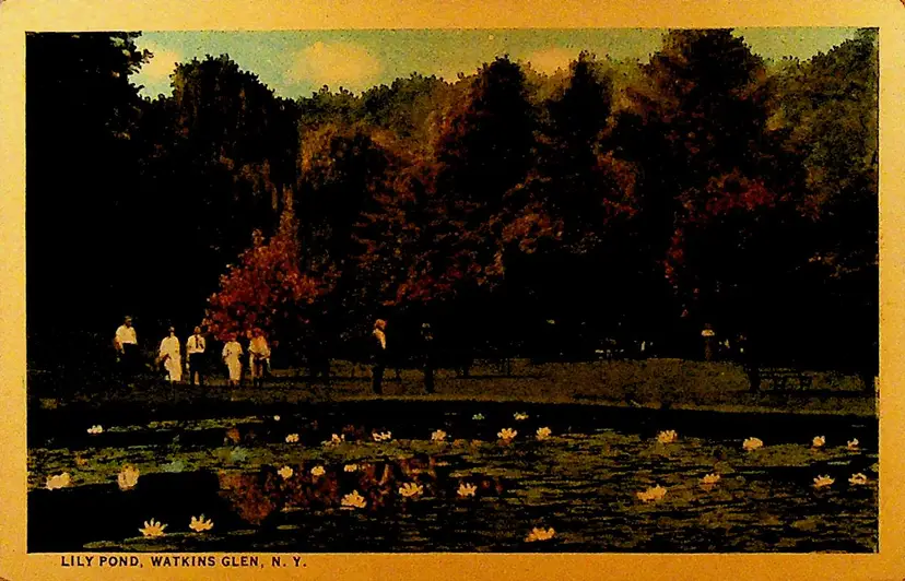 Lily Pond at Watkins Glen NY Unused Postcard