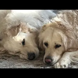 #07 - $2- Jewelry Choice