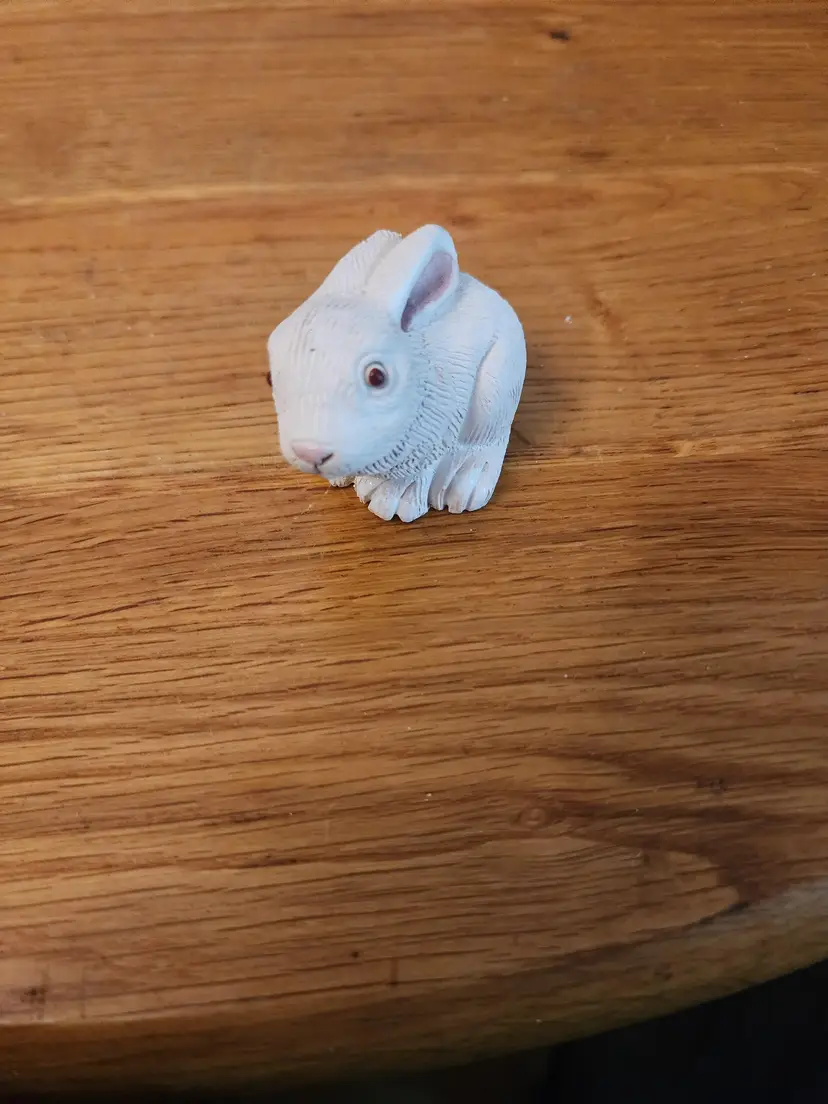 Bunny Rabbit