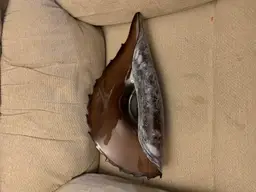 Italian Glass Clam Shell Bowl 17 X 8 1/4 X 5 Inches