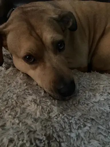 Happy Easter Monday! Let’s Clear The Shelves!