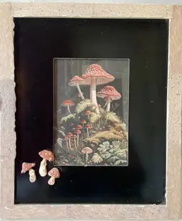 Framed Mushroom Print White Frame 11x13"