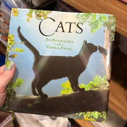 Book- Cats, An Anthology Of Verse & Prose