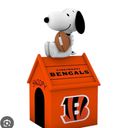 girl4yallseasons