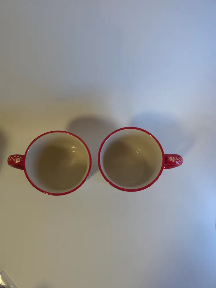 Pioneer Woman Cozy With Cocoa Mugs Set Of 2 Red Floral NWT Cottage Core Feminine