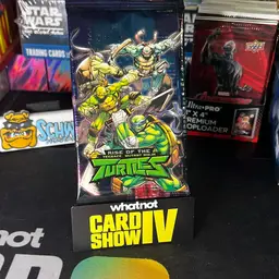 Ride Of The Teenage Mutant Ninja Turtles Pack