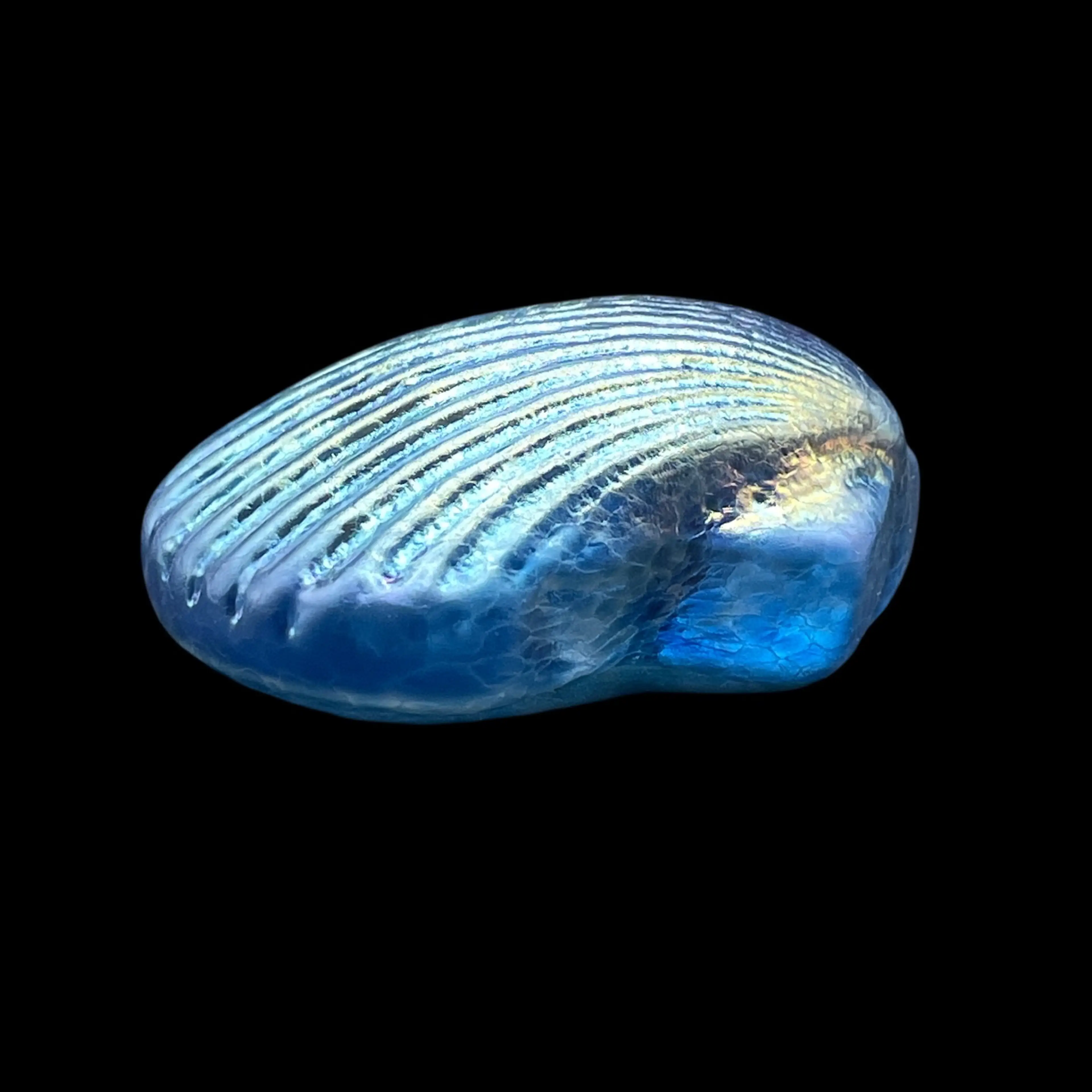 Image 5 of 10