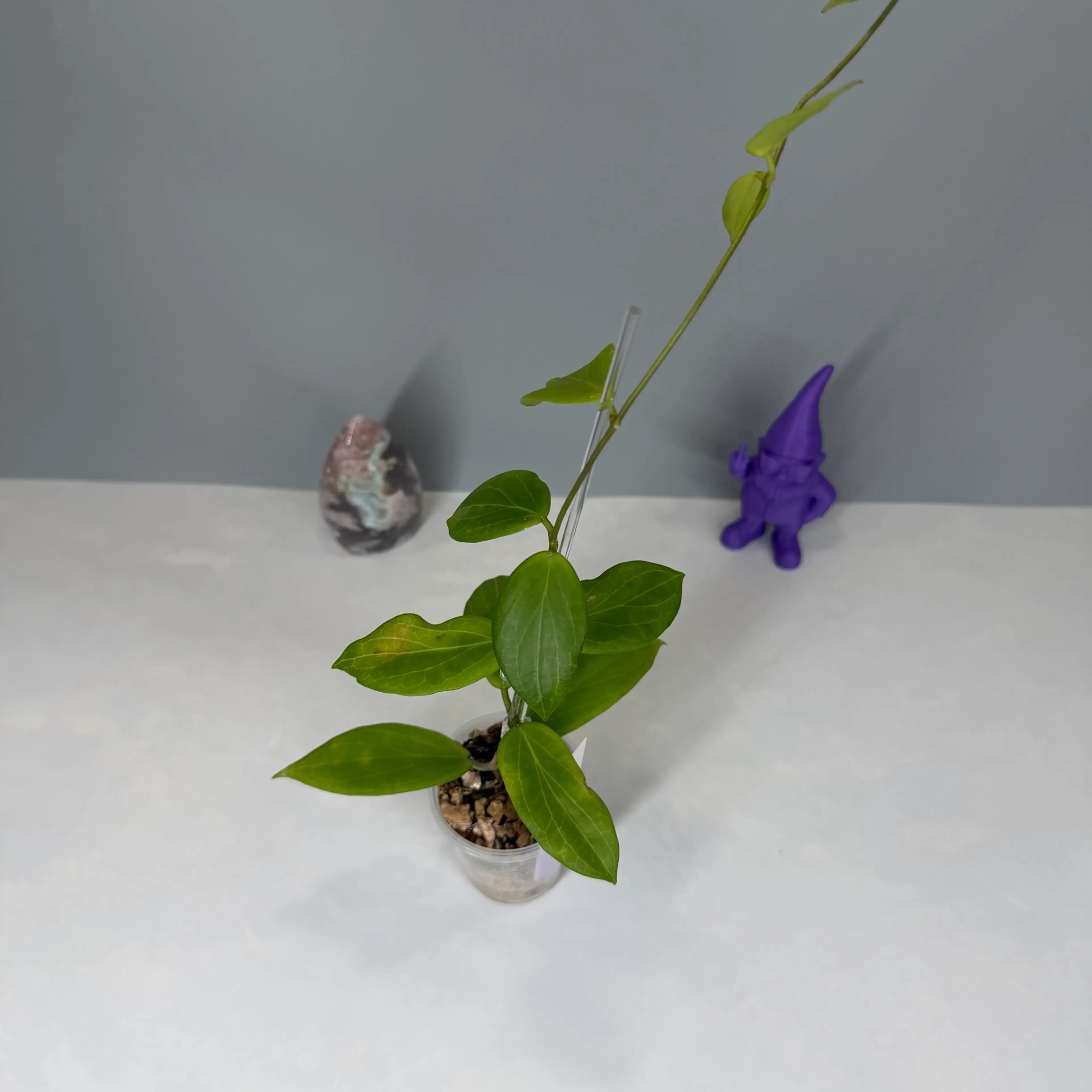 Image 3 of 3