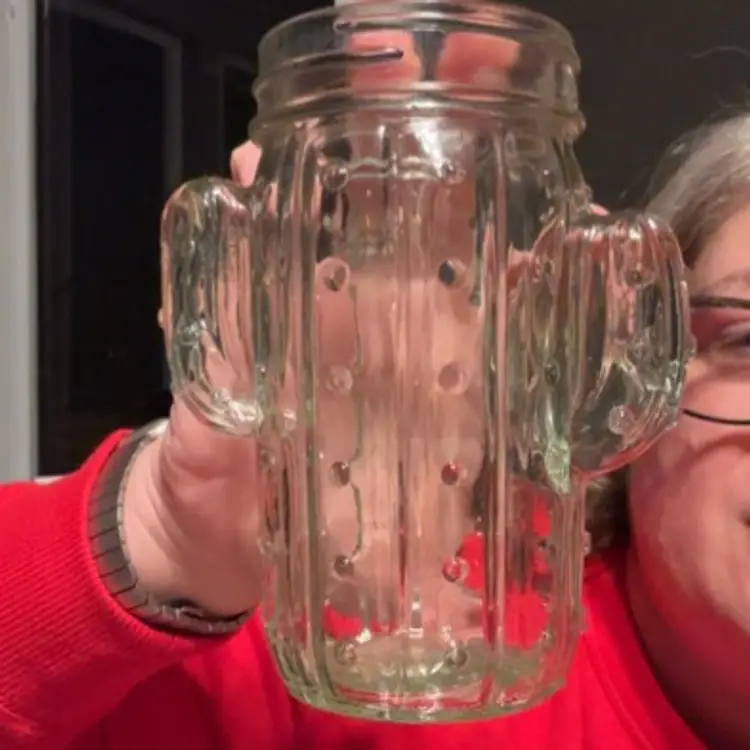 Cactus glass jar