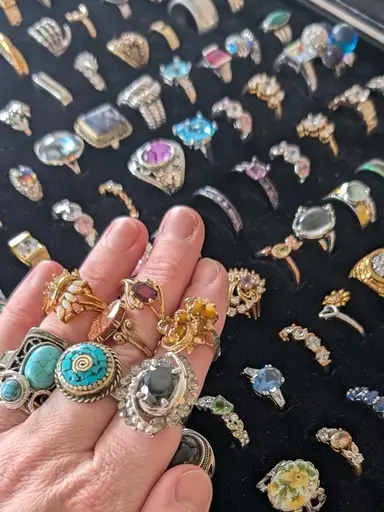 Rings & Other Tiny Things (Bugs & Critter Brooches)