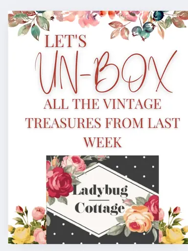 🐞🐞 Wednesday UNBOXING 🐞🐞