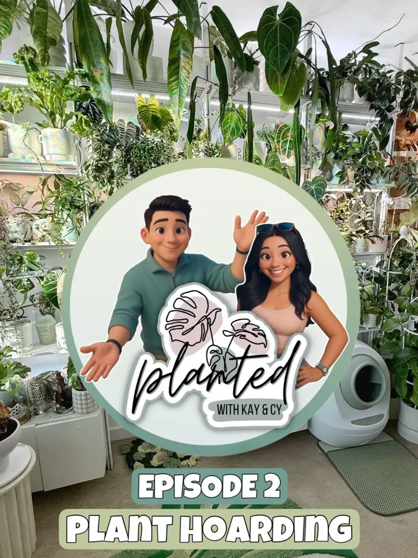 Livestream thumbnail