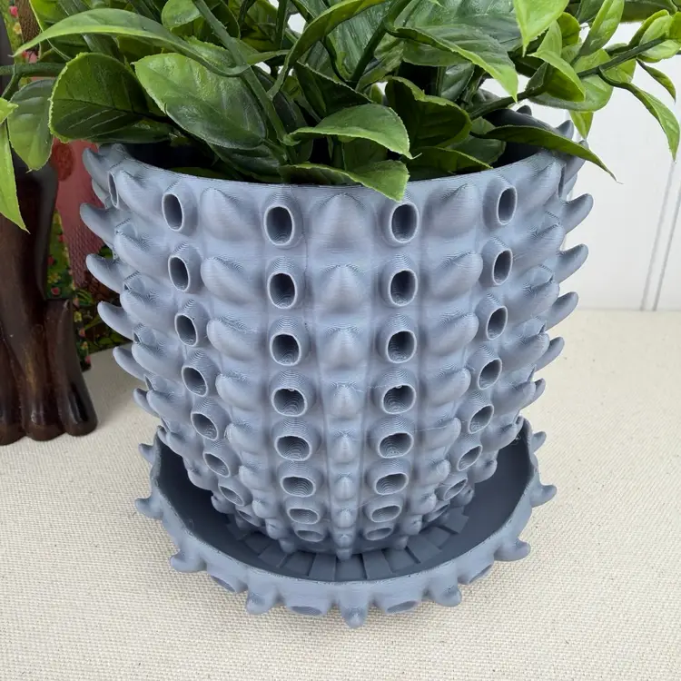 Planter Pot, Barnacle Planter Pot, Indoor Flower Pot, Houseplants, Planter Drip Tray, Eco-friendly
