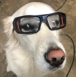 Ed - MossyPotsNursery