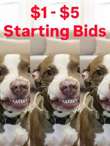 Even More Figurines! Blow Out Sale - Prebids Open Now