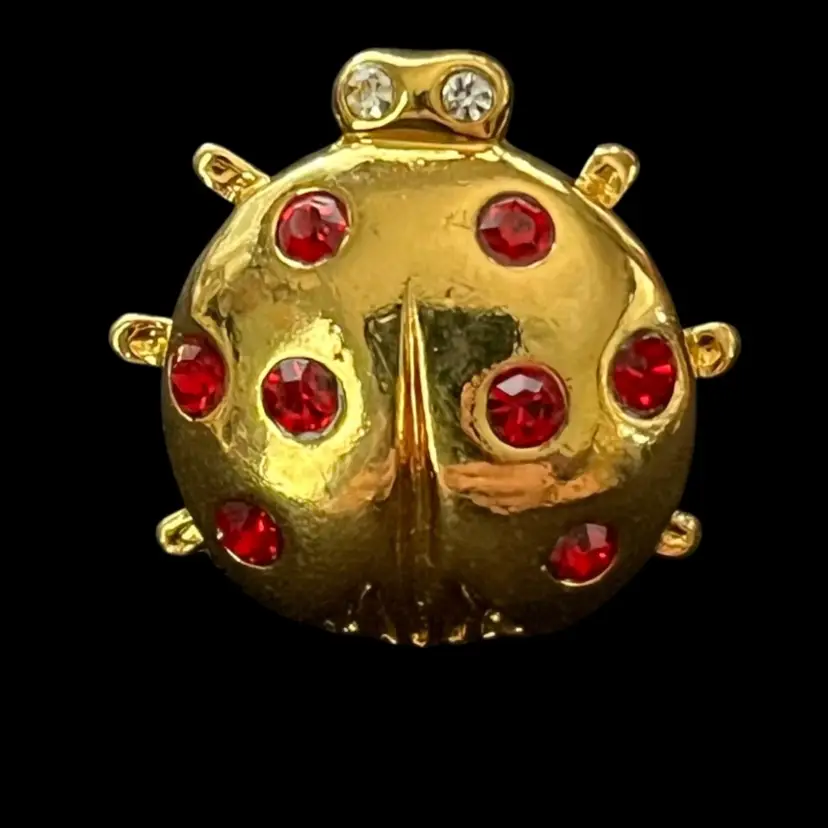 Pin Back Or Brooch As Pictured Avon