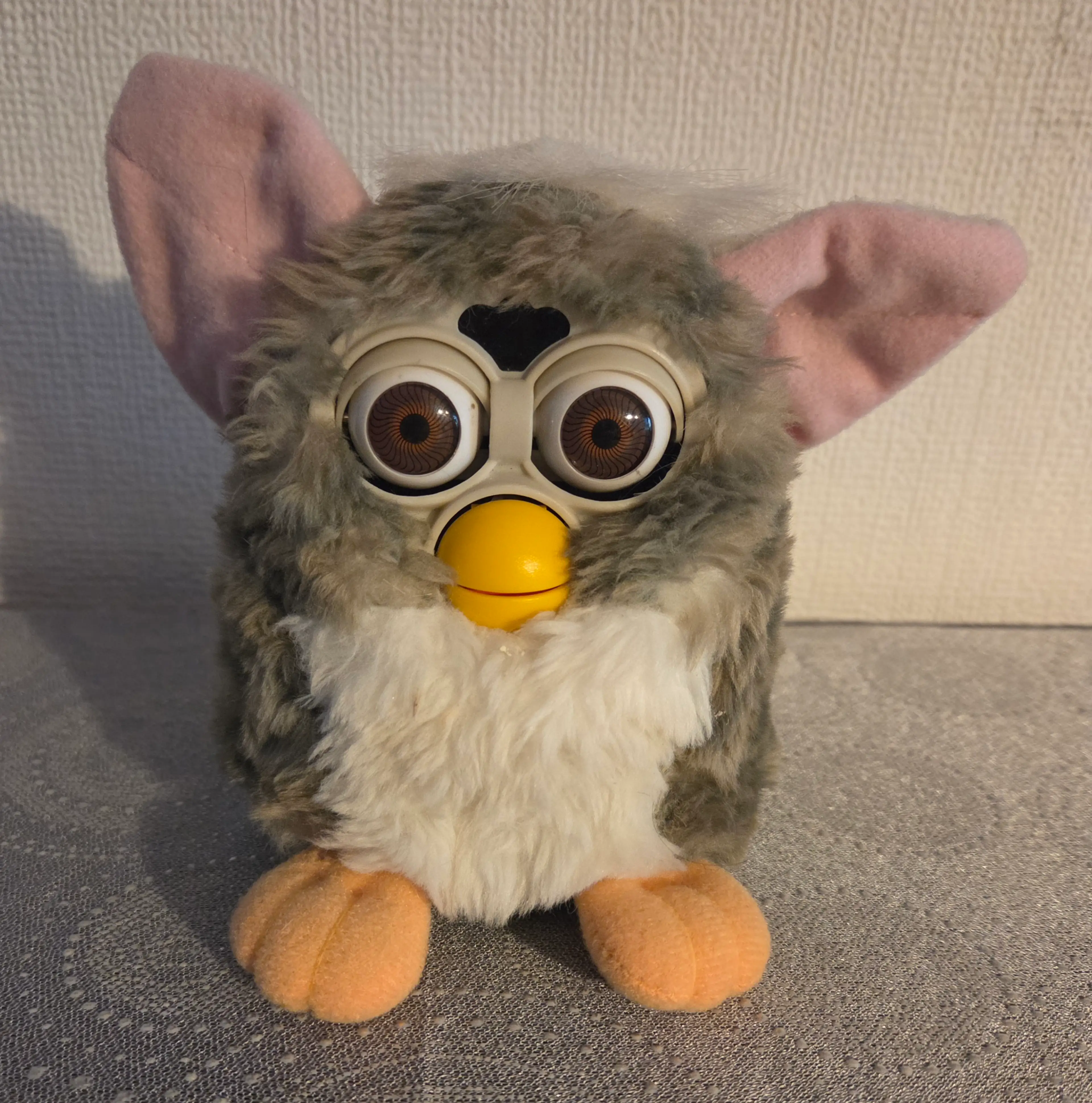 Image 1 of 5