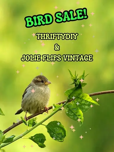 All BIRDS With Trish & Sam! 🐦 🦜 