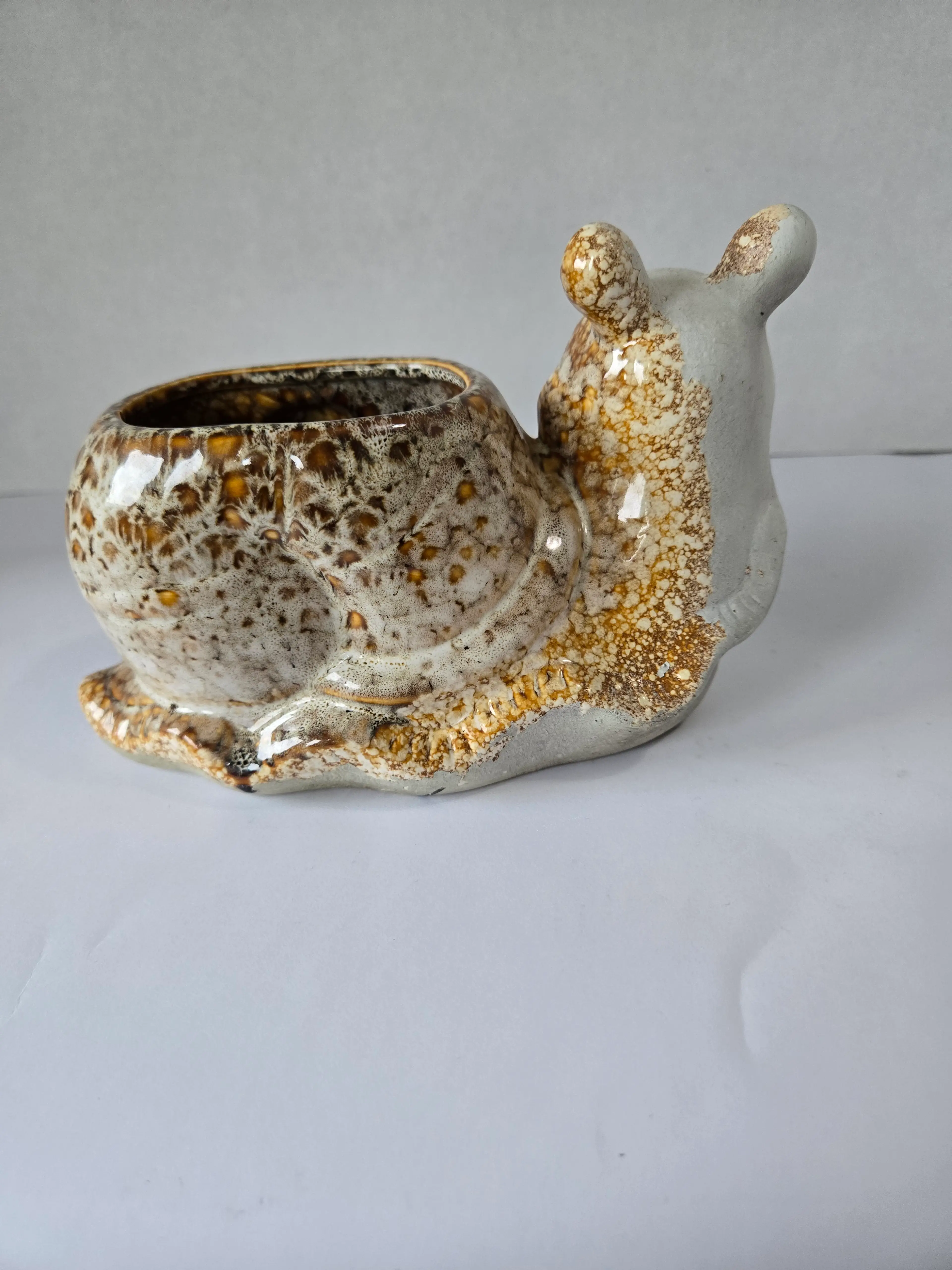 Image 4 of 6