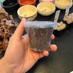 Mexican Ping Soil 5.5 oz