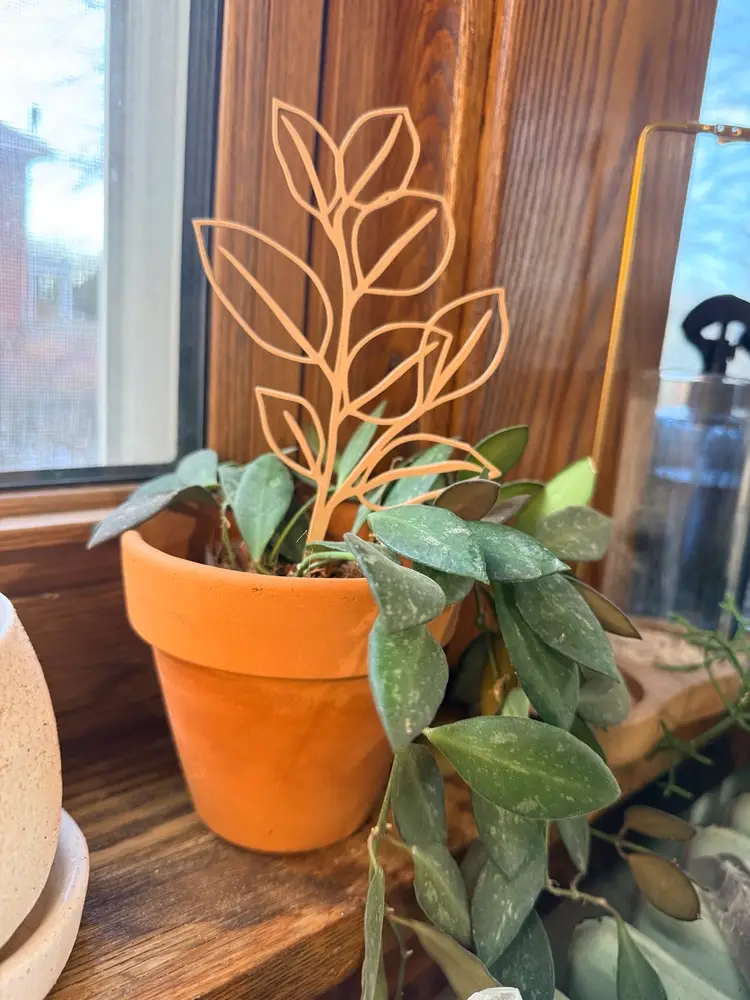 Leaf Line Art Plant Stake/Trellis - 3-pack