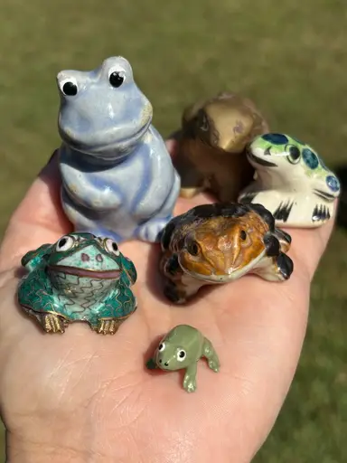 Adopt A Frog 🐸 $3 Choice