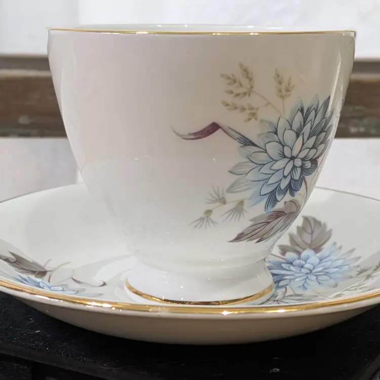 BONE CHINA CUP & SAUCER   ROYAL DOVER