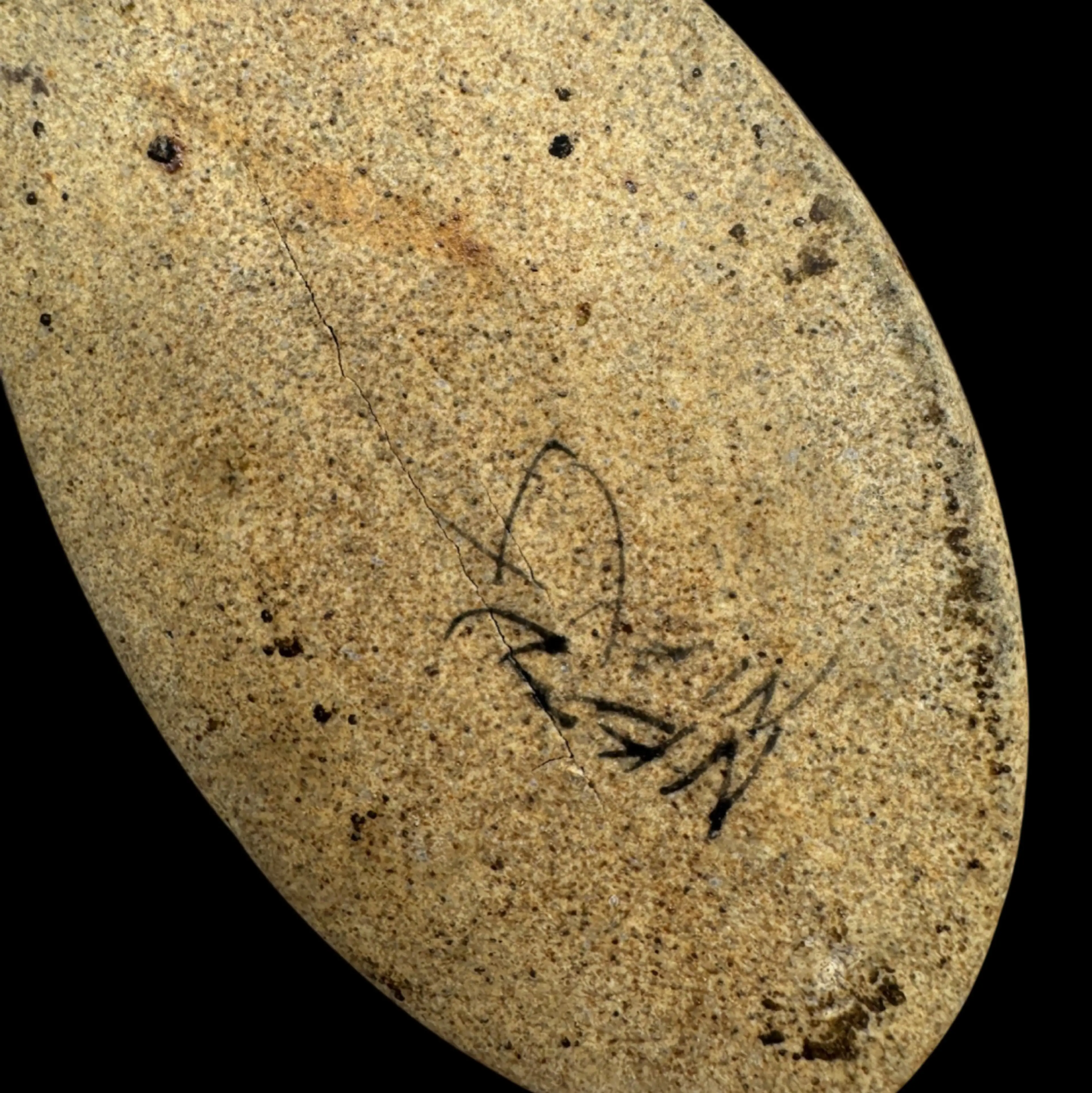 Image 4 of 5