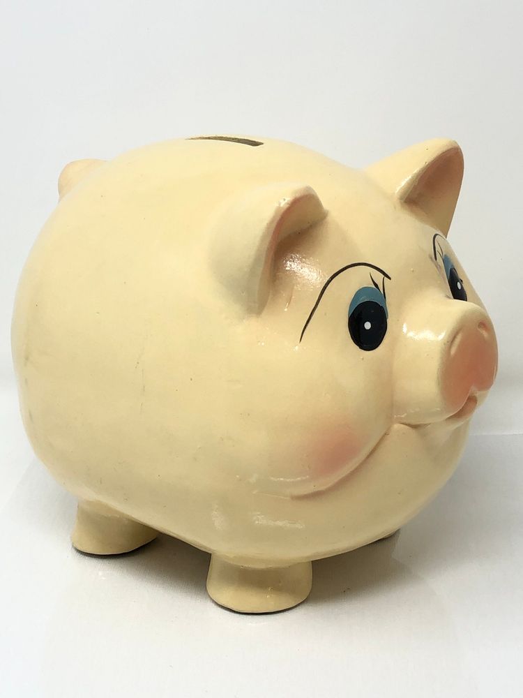 Blue-Eyed Piggy Bank with Blushing Pink Cheeks READ