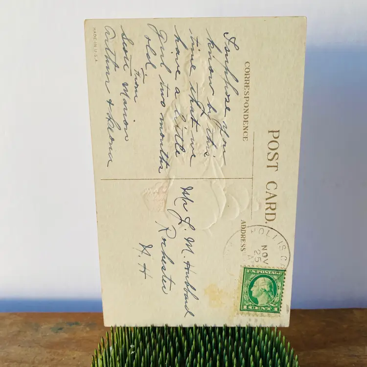 Vintage Thanksgiving Postcard