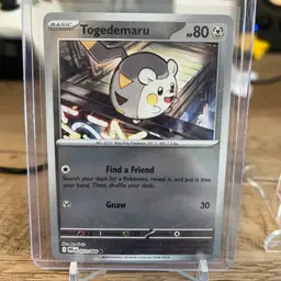 Togedemaru Pokémon card, 073/094 Phantasmal Flames set