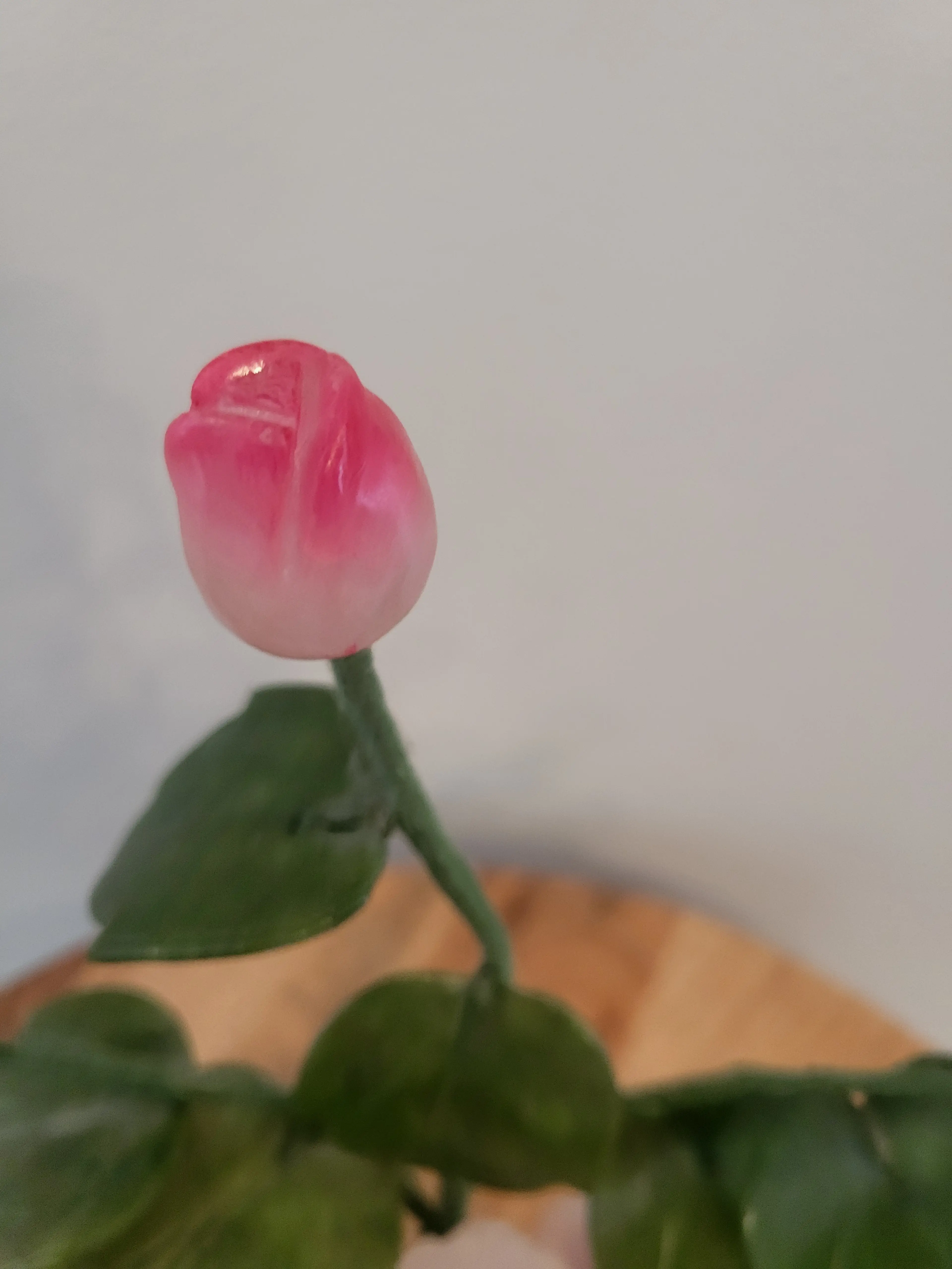 Image 5 of 13