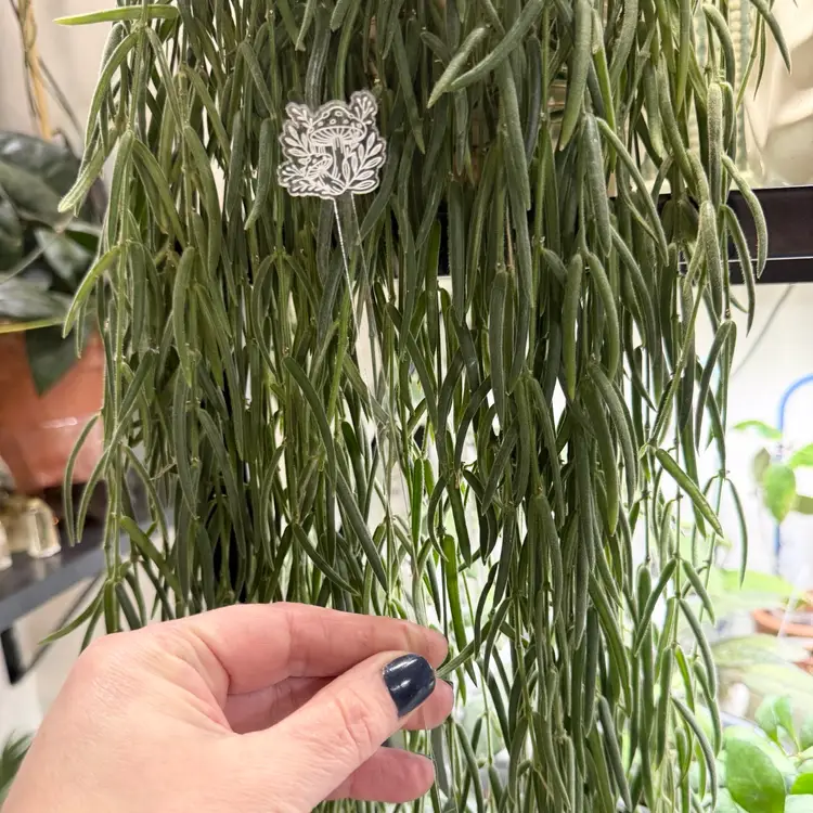 Mushroom Plant Support Stake