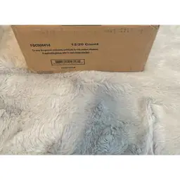 2025 Topps Disney Wonder Hobby Case