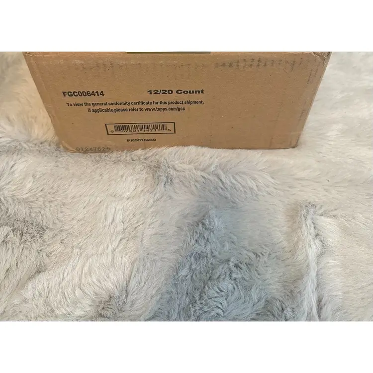 2025 Topps Disney Wonder Hobby Case