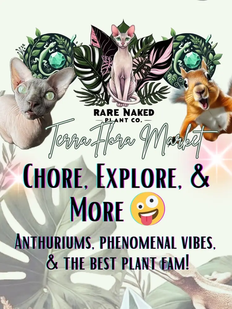 Chore & Explore (Maybe Buy What You See 🫣)