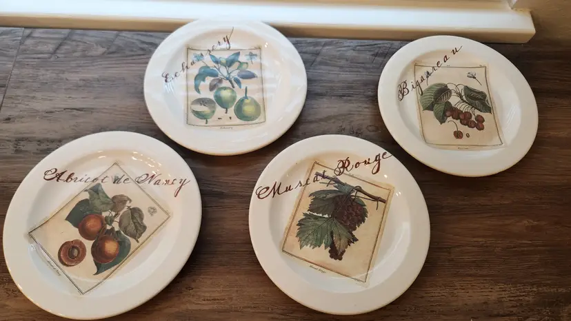 William Sonoma Harvet Fruit design plates. Made in Portugal