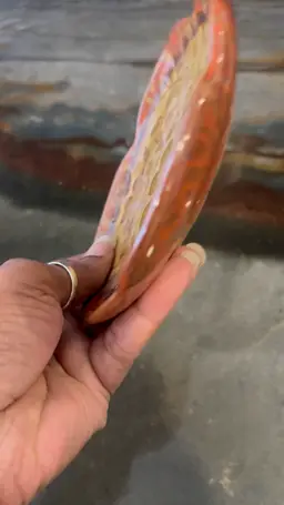 Pier One Candle Holder 6”