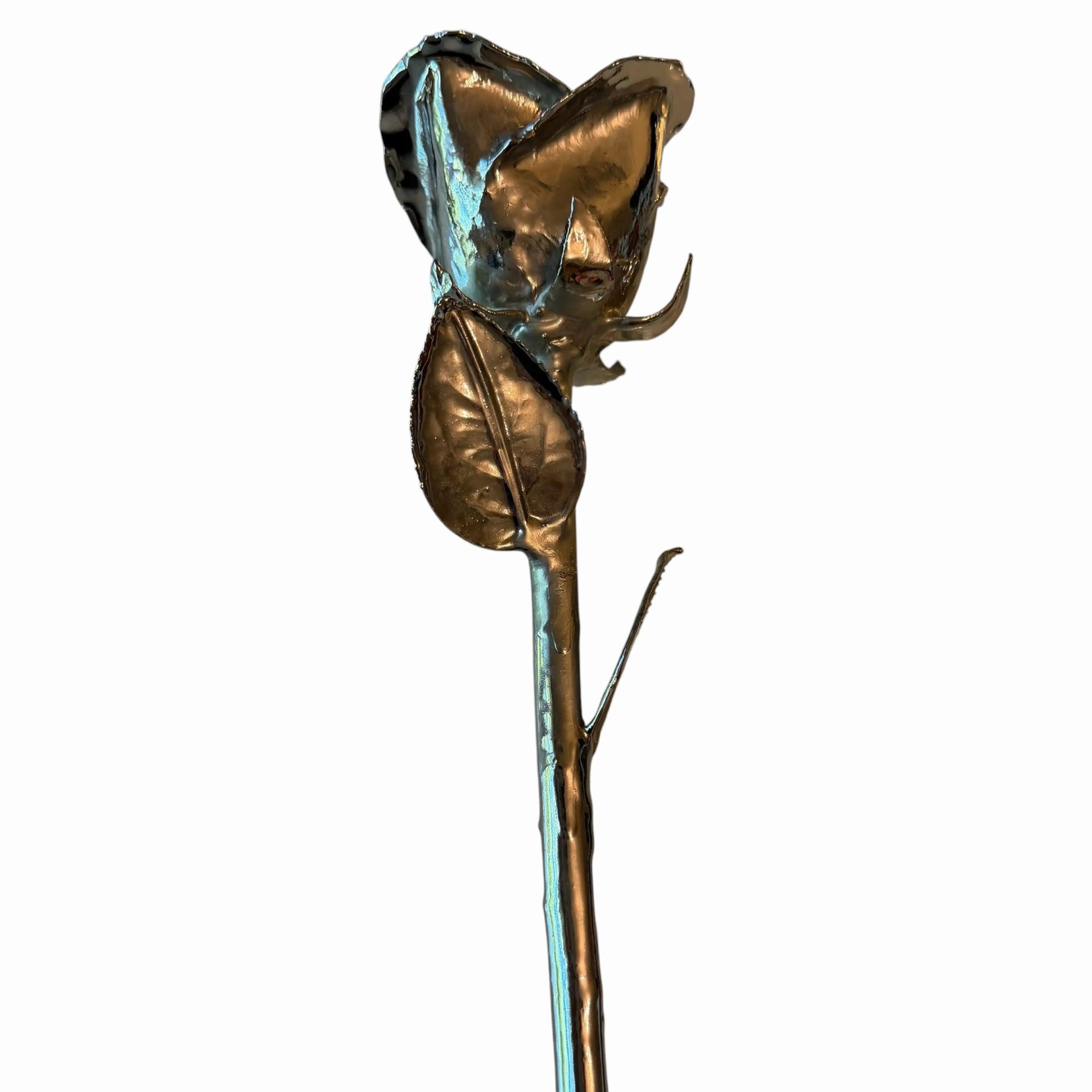 Image 4 of 8
