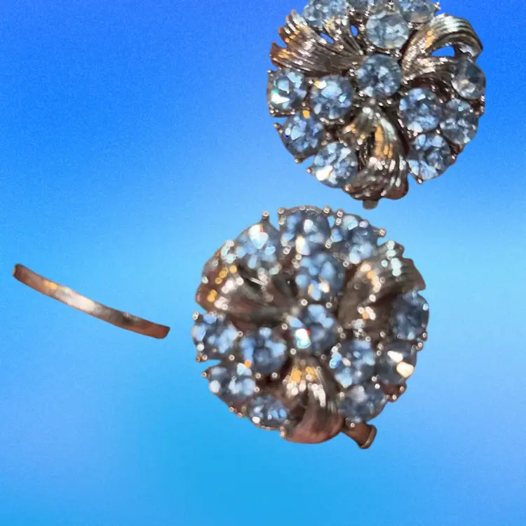 Lisner Clip On Earrings