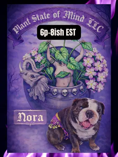 NIGHTS ARE BETTER WITH HOYAS!