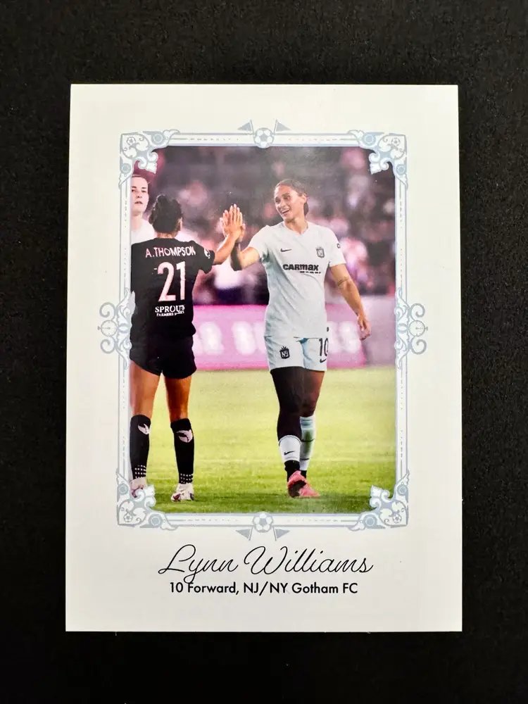 Lynn Williams Oversized Box Topper/Bottomer