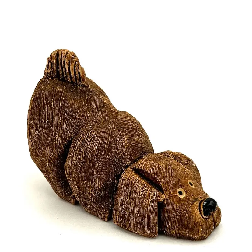 Dog: Rinconada Playful Dog