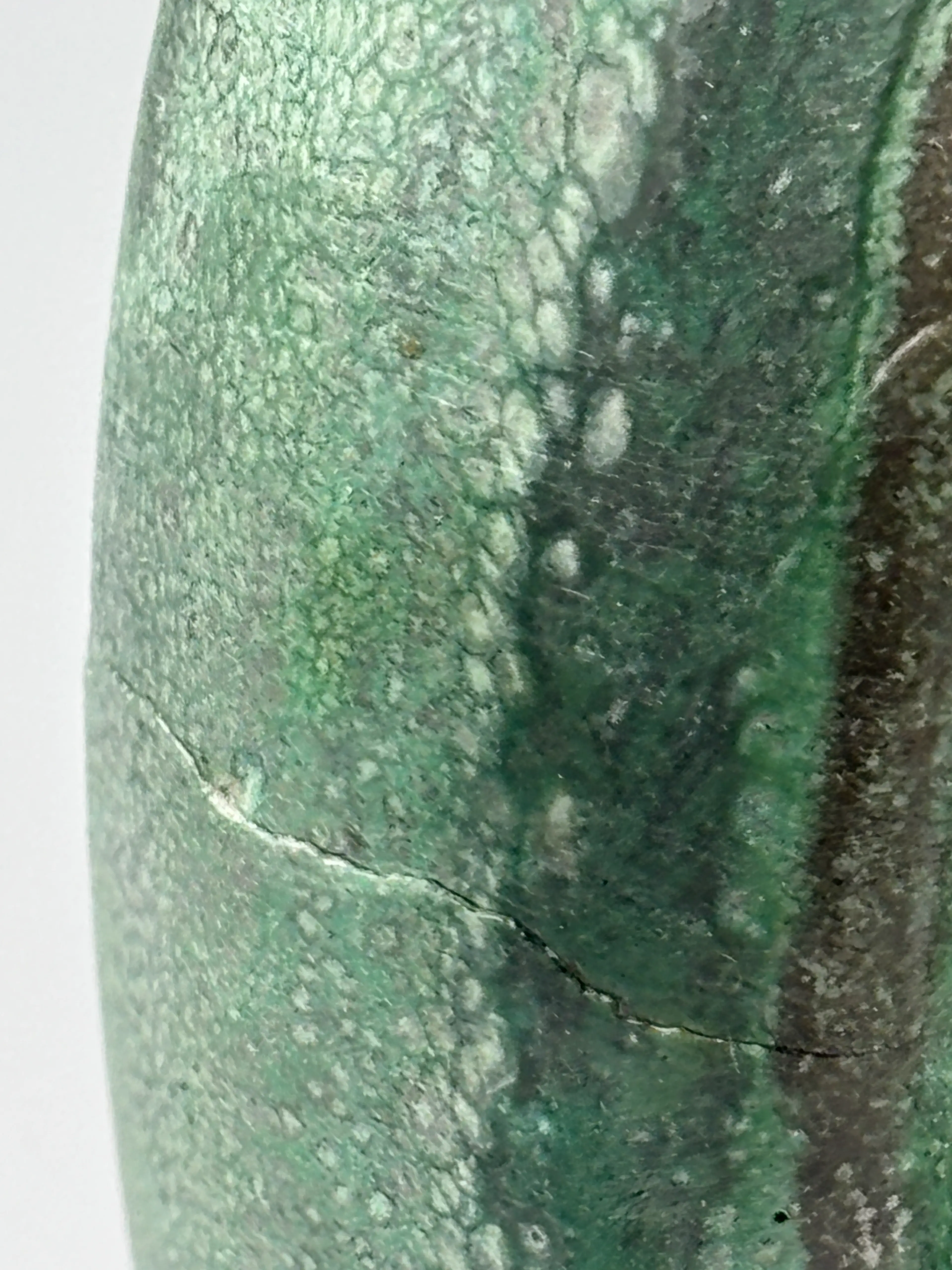 Image 5 of 12