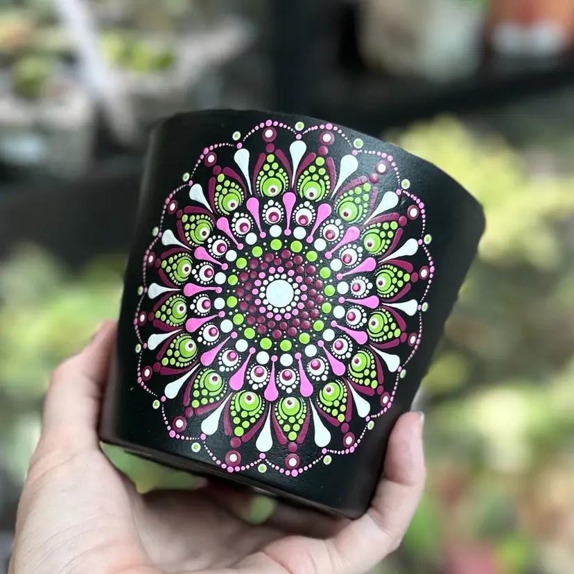 4.7 Inch Black Magenta, Pink, Bright Green