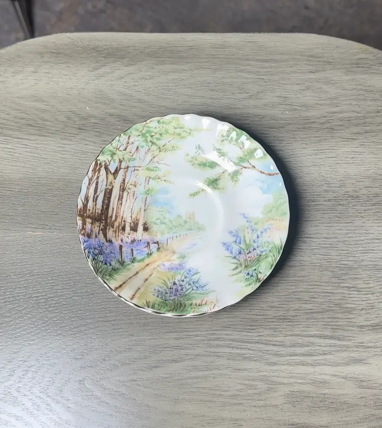 Royal Albert Bluebell Wood Teacup & Saucer Country Scene Series Bone China