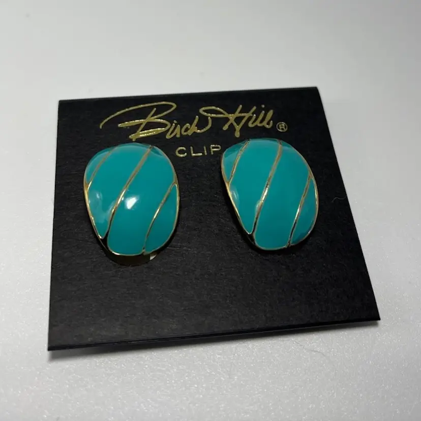 Vintage Enamel Clip-on Earrings