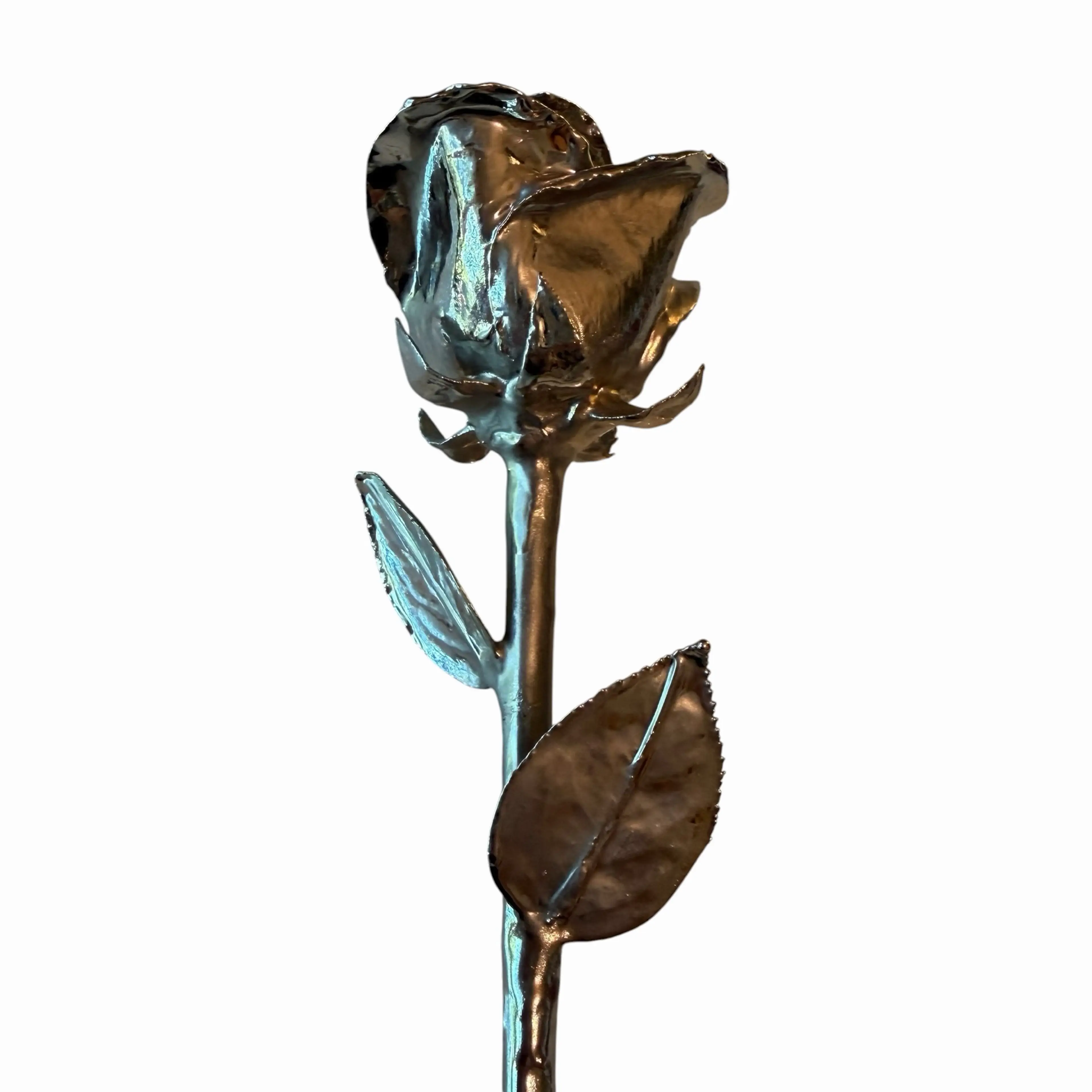 Image 3 of 8
